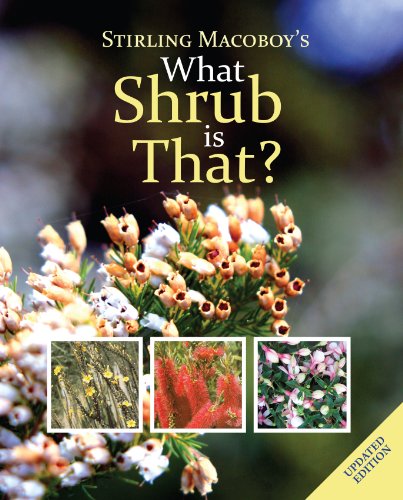 Imagen de archivo de What Shrub Is That? a la venta por Better World Books Ltd