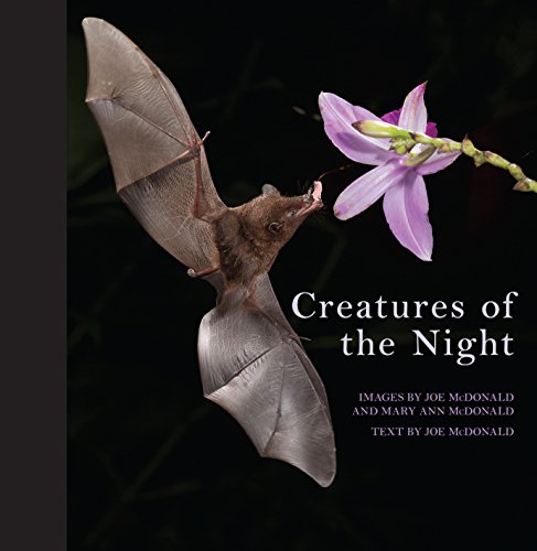 Stock image for Creatures of the Night for sale by HPB-Movies