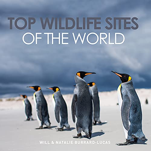 9781921517594: Top Wildlife Sites of the World