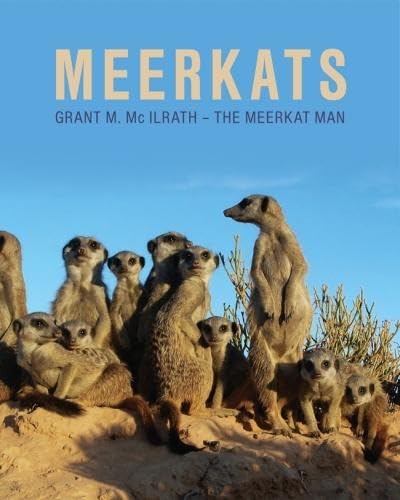 Beispielbild fr Meerkats zum Verkauf von WorldofBooks