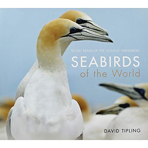 Imagen de archivo de Seabirds of the World a la venta por AwesomeBooks