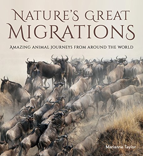 Beispielbild fr Nature's Great Migrations: Great Journey's From Around The World zum Verkauf von WorldofBooks