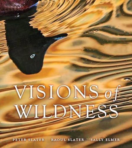 Beispielbild fr Visions of Wildness zum Verkauf von International Publishing Services Ltd.