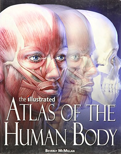 Beispielbild fr The Illustrated Atlas of the Human Body zum Verkauf von SecondSale