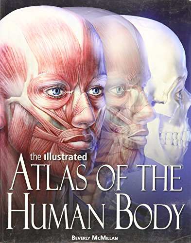Imagen de archivo de The Illustrated Atlas of the Human Body a la venta por SecondSale