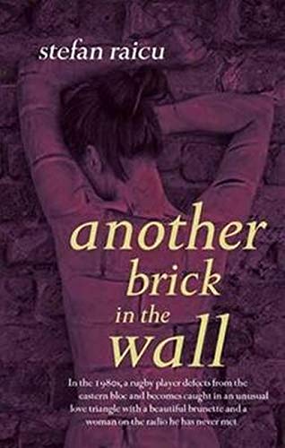 Another Brick in the Wall - Stefan Raicu