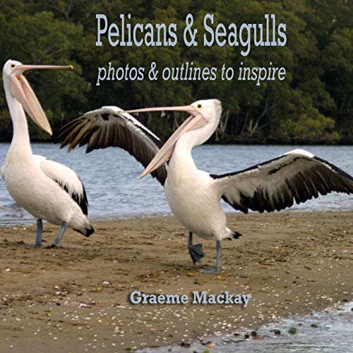 Beispielbild fr Pelicans & Seagulls (Paperback) zum Verkauf von Grand Eagle Retail