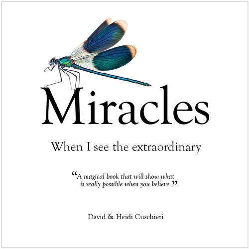 Imagen de archivo de Miracles: When I See The Extraordinary a la venta por Reuseabook