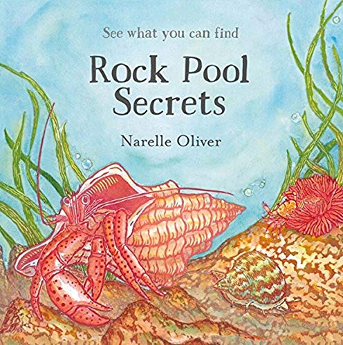 Stock image for Rock Pool Secrets. for sale by Lost and Found Books