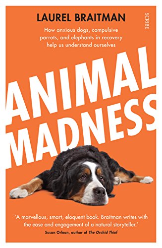 Beispielbild fr Animal Madness: How Anxious Dogs, Compulsive Parrots, and Elephants in Recovery Help Us Understand Ourselves zum Verkauf von Good Reading Secondhand Books