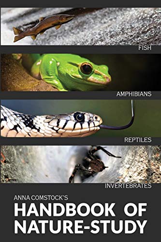 Beispielbild fr The Handbook Of Nature Study in Color - Fish, Reptiles, Amphibians, Invertebrates zum Verkauf von GF Books, Inc.