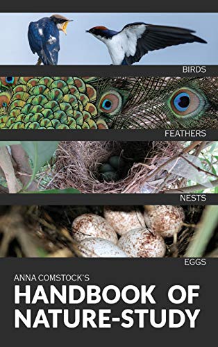 Imagen de archivo de The Handbook Of Nature Study in Color - Birds a la venta por Books From California