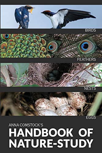 Stock image for The Handbook Of Nature Study in Color - Birds for sale by Books Unplugged