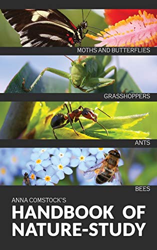 Imagen de archivo de The Handbook Of Nature Study in Color - Insects a la venta por Books From California