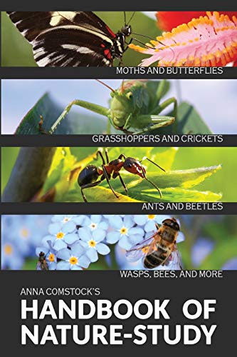Imagen de archivo de The Handbook Of Nature Study in Color - Insects a la venta por GreatBookPrices