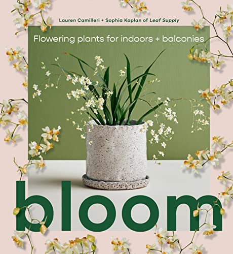 Beispielbild fr Bloom: Flowering plants for indoors and balconies zum Verkauf von WorldofBooks
