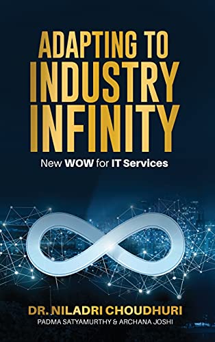 9781922456977: Adapting to Industry Infinity