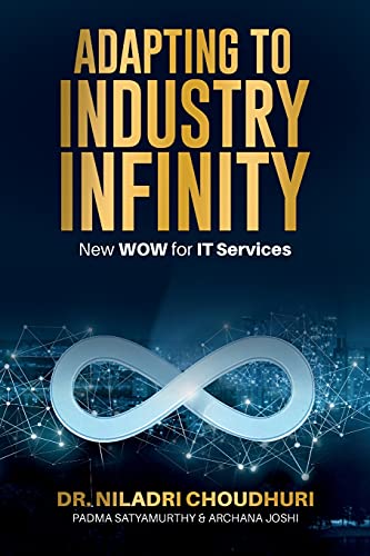 Imagen de archivo de Adapting to Industry Infinity a la venta por Big River Books