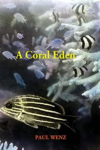 Stock image for A Coral Eden for sale by Lucky's Textbooks