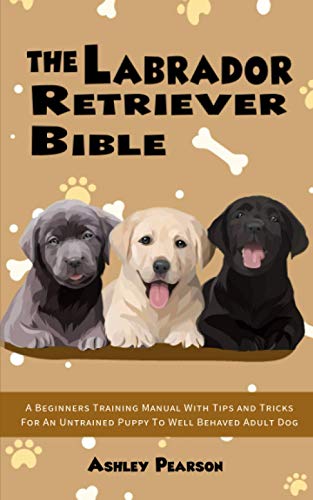 Beispielbild fr The Labrador Retriever Bible - A Beginners Training Manual With Tips and Tricks For An Untrained Puppy To Well Behaved Adult Dog zum Verkauf von WorldofBooks