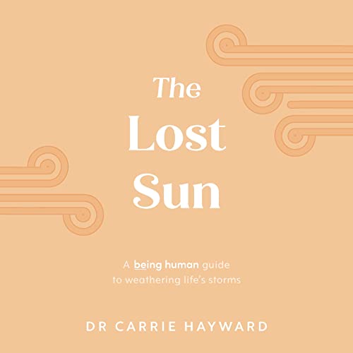 Beispielbild fr The Lost Sun: A Being Human guide to weathering life's storms (Being Human, 1) [Hardcover] Hayward, Dr. Carrie zum Verkauf von Lakeside Books