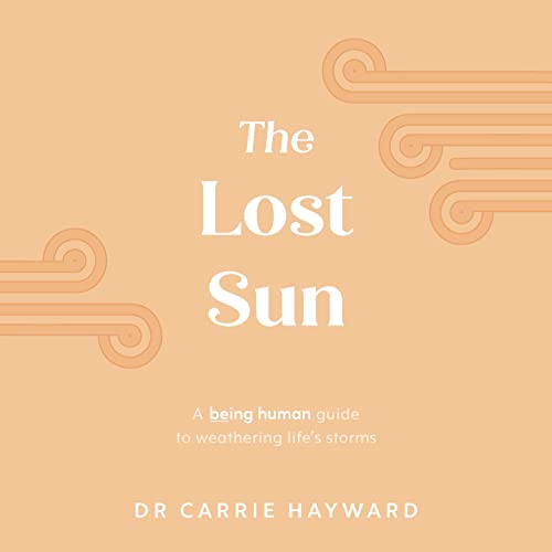 Stock image for The Lost Sun (Hardcover) for sale by Grand Eagle Retail