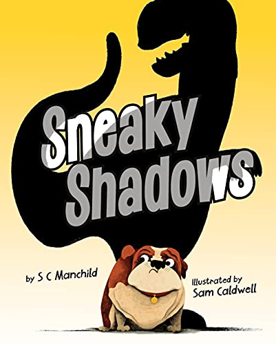 Stock image for Sneaky Shadows for sale by Zoom Books Company