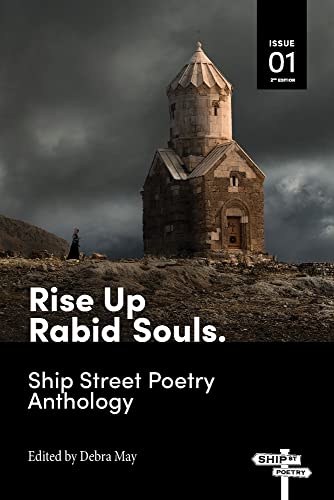 Imagen de archivo de Rise Up Rabid Souls. a la venta por PBShop.store US
