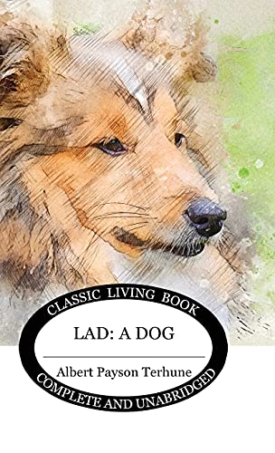 Stock image for Lad: A Dog for sale by ThriftBooks-Atlanta