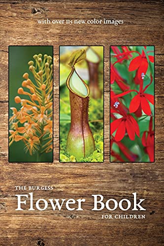 Imagen de archivo de The Burgess Flower Book with new color images a la venta por Chiron Media