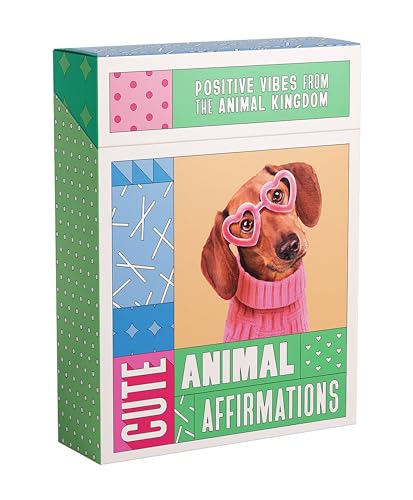 Imagen de archivo de Cute Animal Affirmations: Positive vibes from the animal kingdom a la venta por Open Books