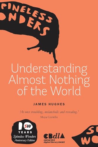 Stock image for Understanding Almost Nothing Of The World for sale by Ria Christie Collections
