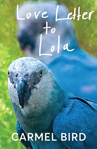 Stock image for Love Letter to Lola for sale by GreatBookPrices