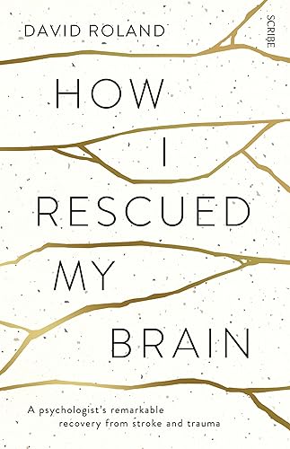 9781925106008: How I Rescued My Brain: A Psychologist's Remarkable Recovery from Stroke and Trauma