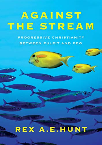 Stock image for Against the stream: Progressive Christianity between Pulpit and Pew for sale by Ria Christie Collections
