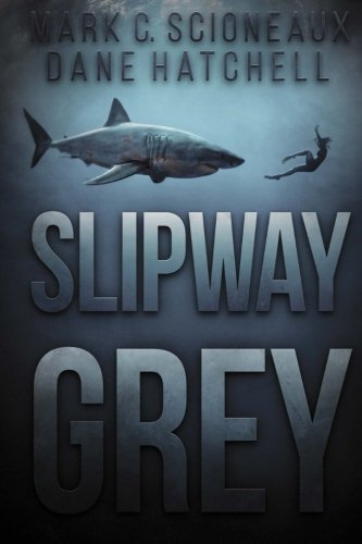 9781925225686: Slipway Grey
