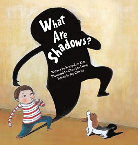 Stock image for What Are Shadows? Format: Paperback for sale by INDOO