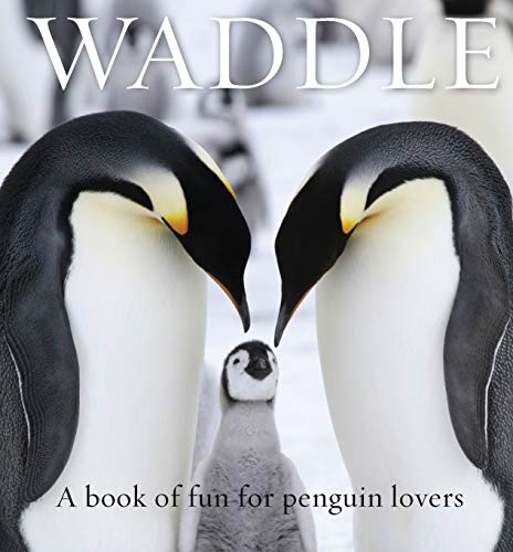 Imagen de archivo de Waddle: A Book of Fun for Penguin Lovers (Animal Happiness) a la venta por Bookoutlet1