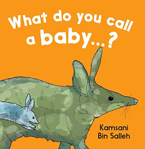 Stock image for What do you call a baby.? (Board Book) for sale by Grand Eagle Retail