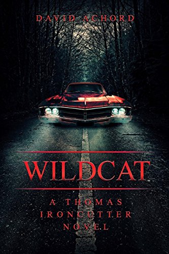 Imagen de archivo de Wildcat : A Thomas Ironcutter Novel a la venta por Better World Books