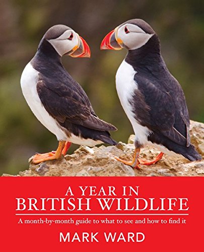 Stock image for Year in British Wildlife a for sale by Wonder Book