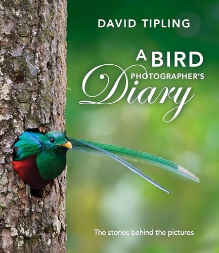

A Bird Photographer's Diary