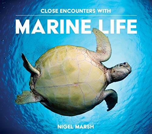 Beispielbild fr Close Encounters with Marine Life zum Verkauf von Hay-on-Wye Booksellers