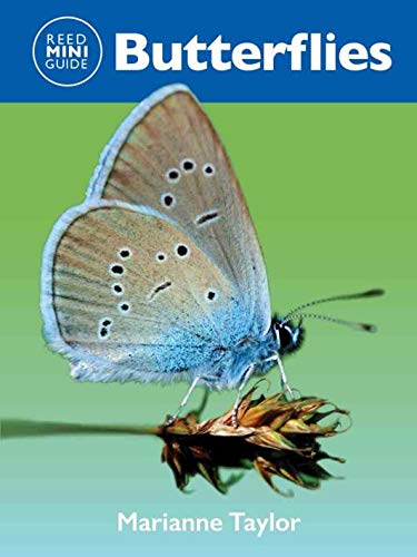 Beispielbild fr Reed Mini Guide: Butterflies: Comprehensive Guide To Butterflies zum Verkauf von WorldofBooks