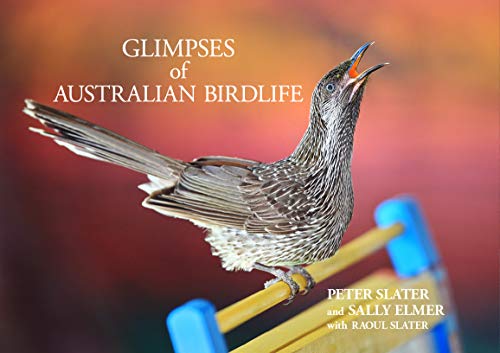 Stock image for Glimpses of Australian Birdlife for sale by Hill End Books