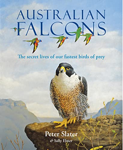 9781925546743: Australian Falcons: The secret lives of our fastest birds of prey