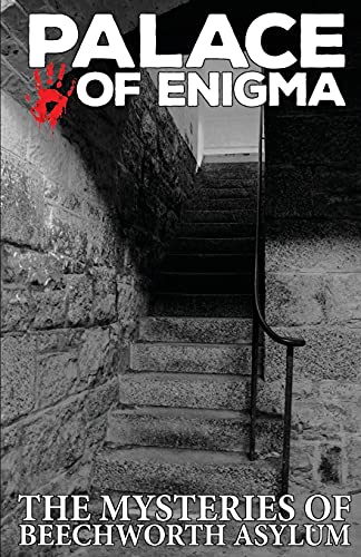 Stock image for Palace of Enigma: The Mysteries of Beechworth Asylum for sale by Lucky's Textbooks