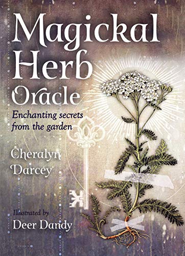 Stock image for Magickal Herb Oracle: Enchanting Secrets From the Garden (Rockpool Oracle Card Series) for sale by GF Books, Inc.