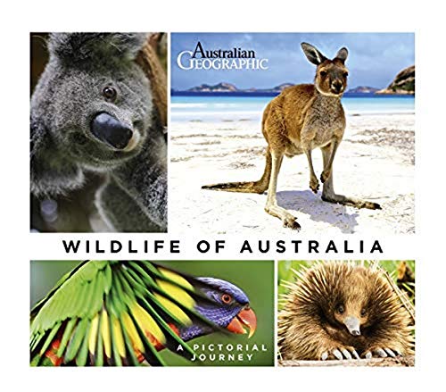 Imagen de archivo de Wildlife of Australia a la venta por ThriftBooks-Atlanta