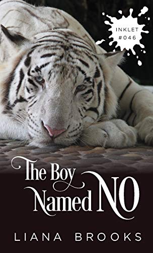 Stock image for The Boy Named No for sale by GreatBookPrices